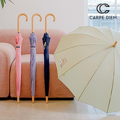 카르페디엠 감성 장우산 C044