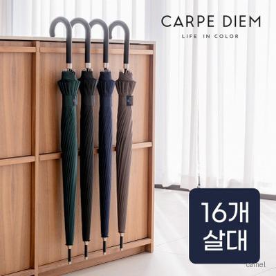 카르페디엠 65 곡자 장우산 C083