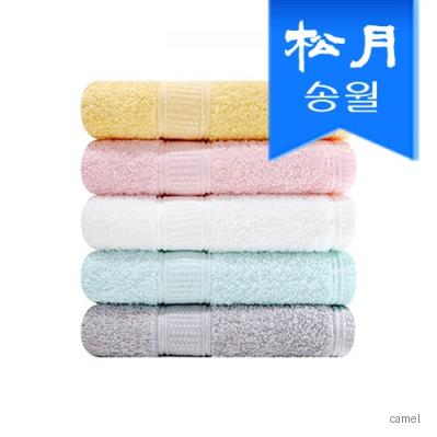 송월 아놀드바시니 프라임무지