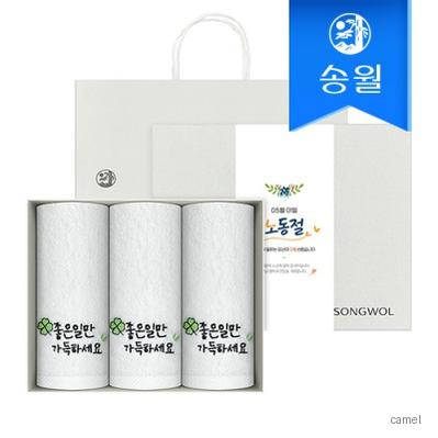 송월타올 노동절 근로자의 날 기념선물 좋은일클로버 3매 선물세트 쇼핑백 기념수건 답례품