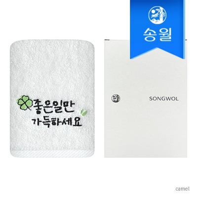 송월타월 좋은일 행운 응원 클로버자수 150g 세면 1매 케이스