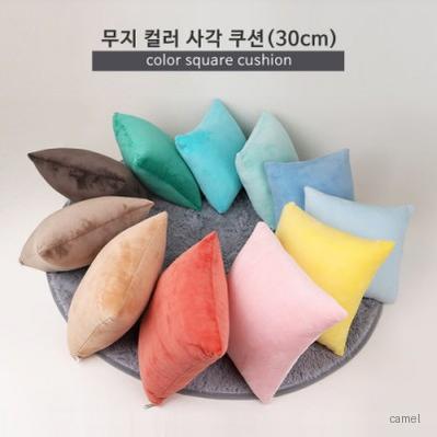 무지 컬러 사각 쿠션 30cm 11color