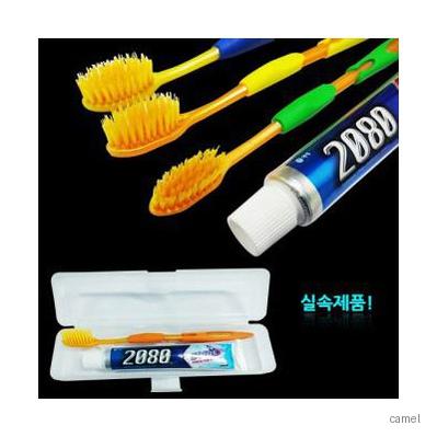 2080치약 미세모 칫솔다양 랜덤