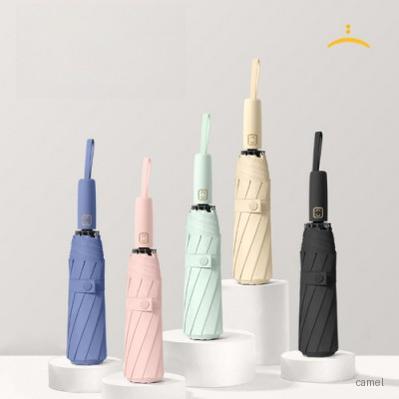 로페리아 3단 파스텔 자동 우산 0189986