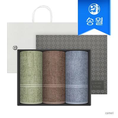 송월타올 호텔수건 데일리 데이라인 110g 3p 선물세트 쇼핑백 기념수건 답례품