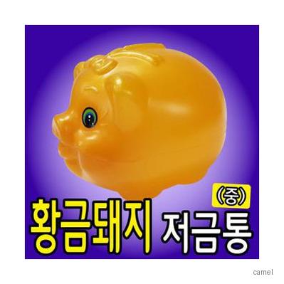 황금돼지 저금통 중