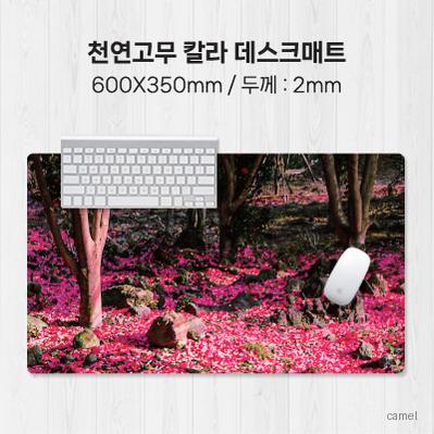 천연고무칼라 데스크매트 600 350mm 2T