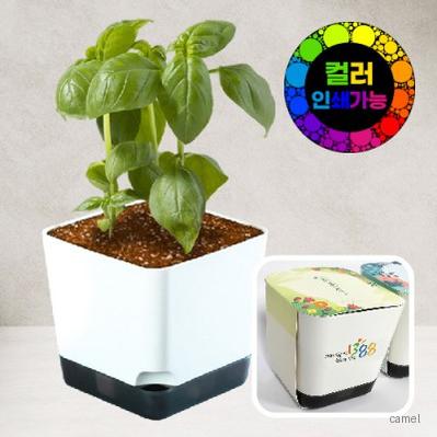 사각화이트화분