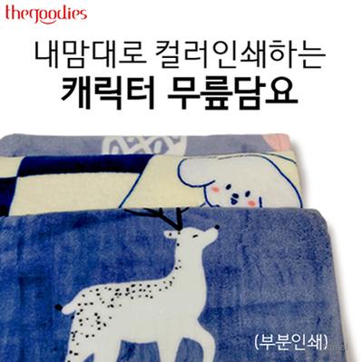 내맘대로 컬러인쇄하는 캐릭터 무릎담요 70x100