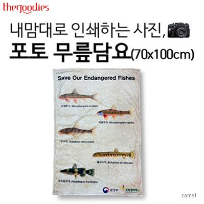 내맘대로 인쇄하는 사진 포토 무릎담요 70x100