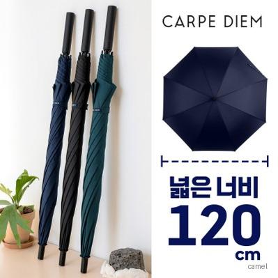 카르페디엠 베이직 70 장우산 C102