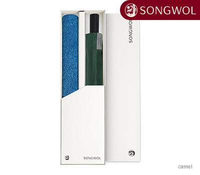 송월 SW2단대형우산 항균170 타올