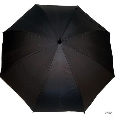 발렌타인 POE장53.5 8 자동검정