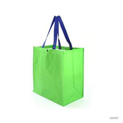 타포린가방그린