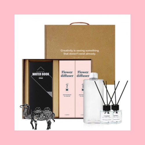 레스쁘리 스페셜 보틀세트 I 뉴 워터북 페트 350ml 레스쁘리 디퓨저 50ml 2입