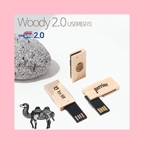 Woody 우디 2.0 USB 4G