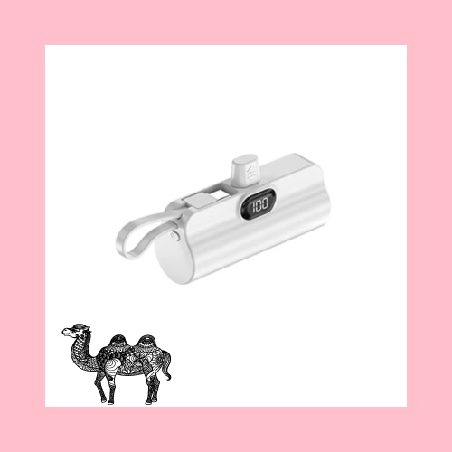 디스플레이 킹덤 도킹 2in1 보조배터리 5000mah 8핀