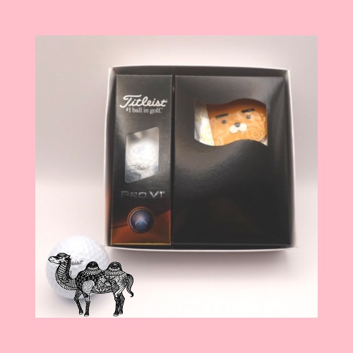 타이틀리스트 ProV1 골프공 3구 카카오골프 골프장갑 라이언 여성용 왼손 1개 19호  골프공선물세트