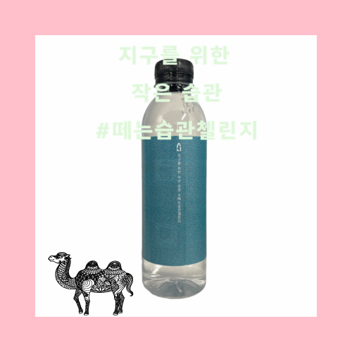 MBTI 퍼스널 컬러 디자인 생수 제작 40병 세트