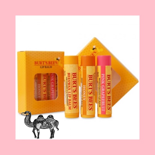 버츠비 립밤 4.25g 3종 기프트 세트 케이스포함