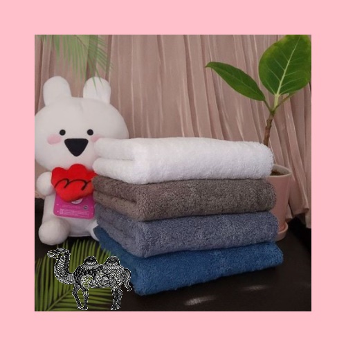 다올 삼선코마사 타올 40수 180g