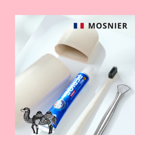 모스니에 생분해칫솔 혀클리너 치약50g 생분해케이스 대세트