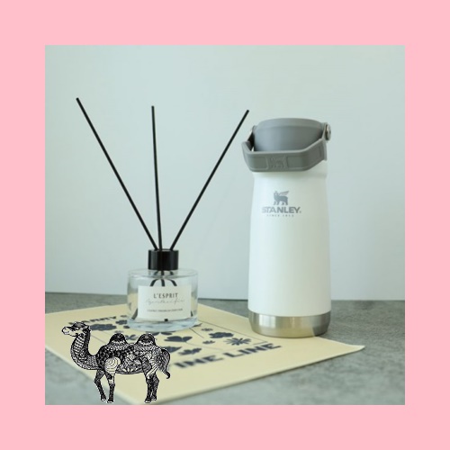 레스쁘리 고급 디퓨저세트 Z 디퓨저 BASIC 120ml 스탠리 아이스플로우 플립 스트로 워터보틀