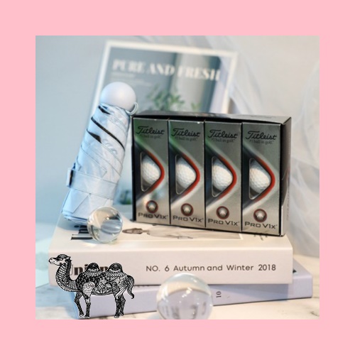 레스쁘리 스페셜 2P B 타이틀리스트 PRO V1 12구 마카롱 우산 골프공선물세트