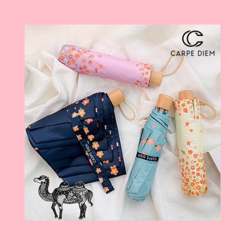 카르페디엠 꽃비 3단수동양우산 C038