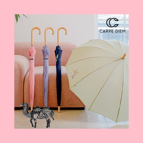 카르페디엠 감성 장우산 C044