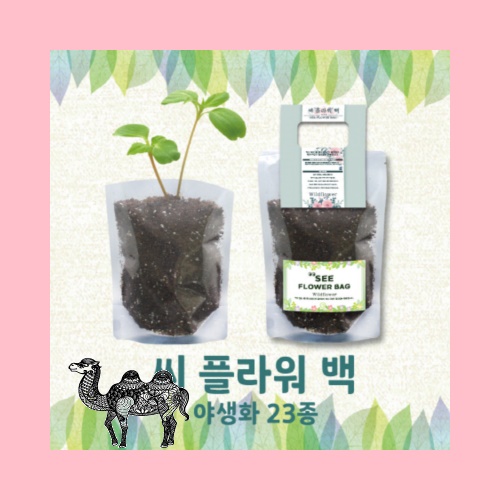 씨플라워백 야생화 23종