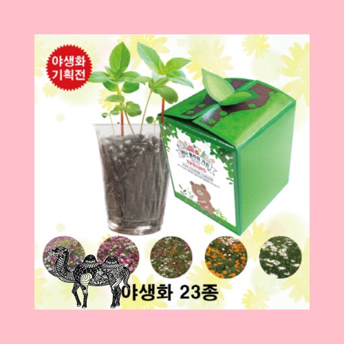 야생화 23종 미니플라워가든