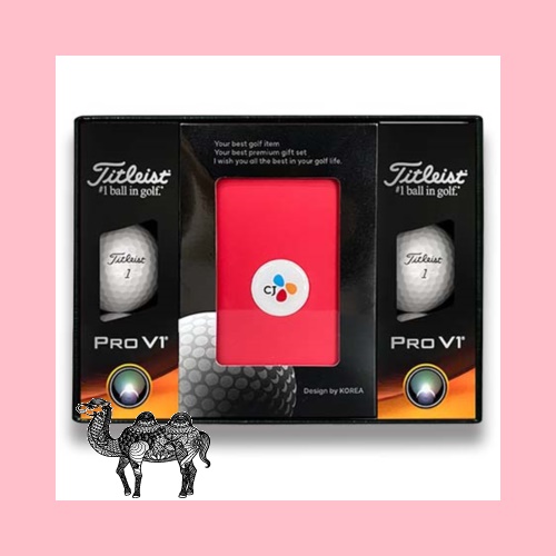 타이틀리스트Prov1골프공6알 골프파우치 골프공선물세트