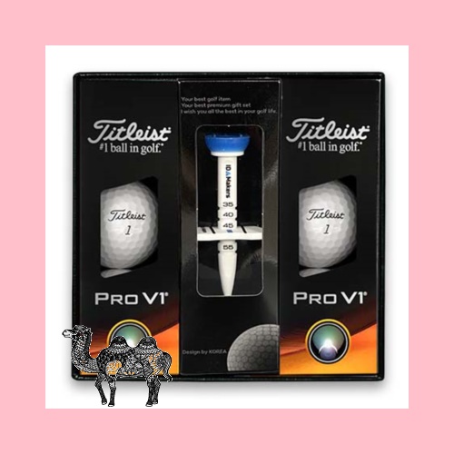 타이틀리스트Prov1골프공6알 높이조절골프티 골프공선물세트