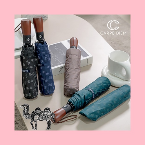 카르페디엠 무브라인 3단완전자동우산 C041