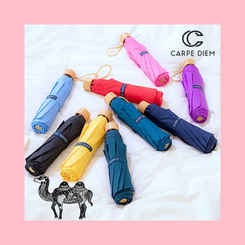 카르페디엠 위티 3단수동우산 C039