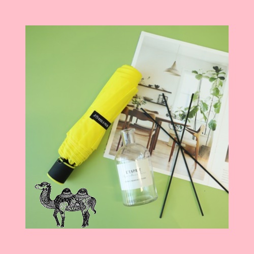 레스쁘리 고급 우유병 디퓨저세트 BB 디퓨저 BASIC 150ml 아놀드파마 우산
