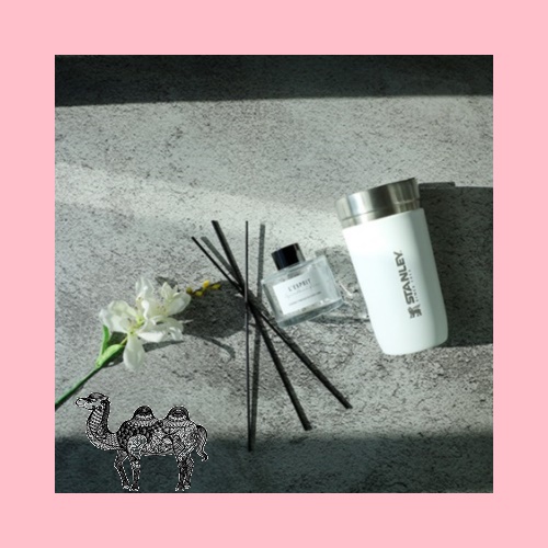 레스쁘리 고급 디퓨저세트 DD 디퓨저 BASIC 120ml 스탠리 고 진공 텀블러