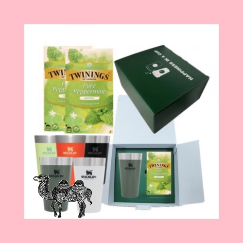 스탠리 어드벤처 진공 파인트컵 473ml 트와이닝 페퍼민트 티백 25개입 1팩
