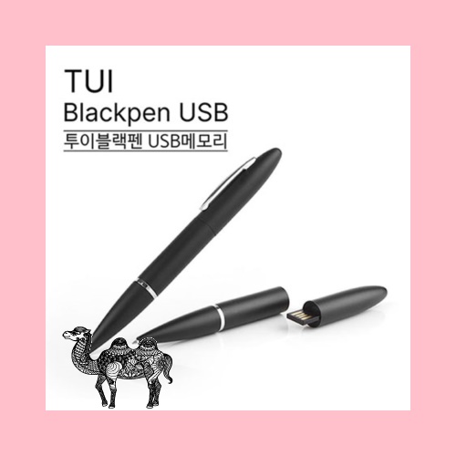 Blackpen USB 볼펜 USB 8G