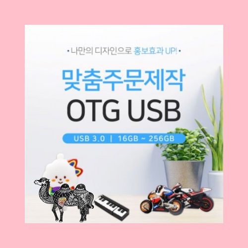 소프트낸드 주문제작 캐릭터 C타입 OTG메모리 3.0 32G