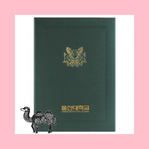 지레자 상장케이스 녹색