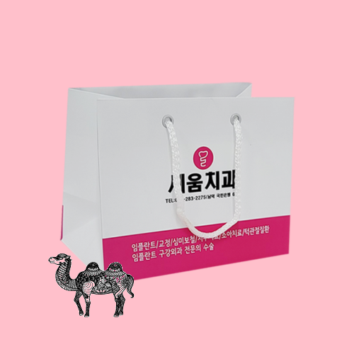 쇼핑백 13