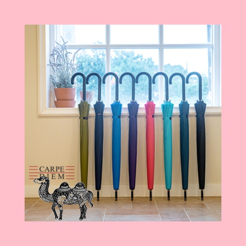 카르페디엠 스마트 58*24K 곡자 장우산 S014