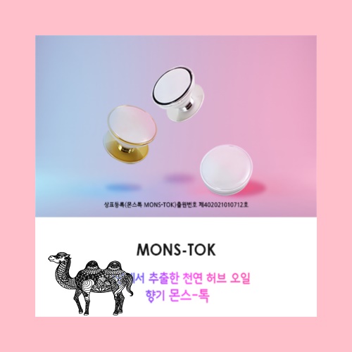 몬스톡 고급형