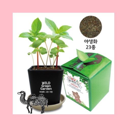야생화 23종 그린가든