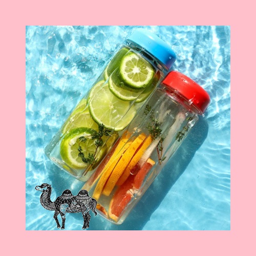 블리츠마이보틀 500ml 페트 아이스전용 국산