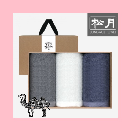 송월타월 소중한당신께 3매 160g B세트 타올