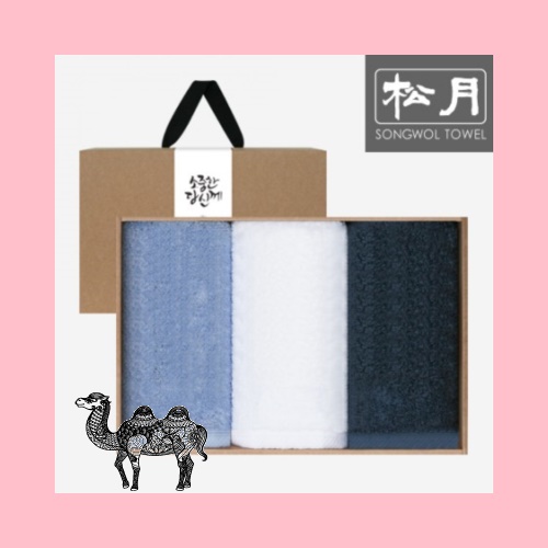 송월타월 소중한당신께 3매 180g D세트 타올