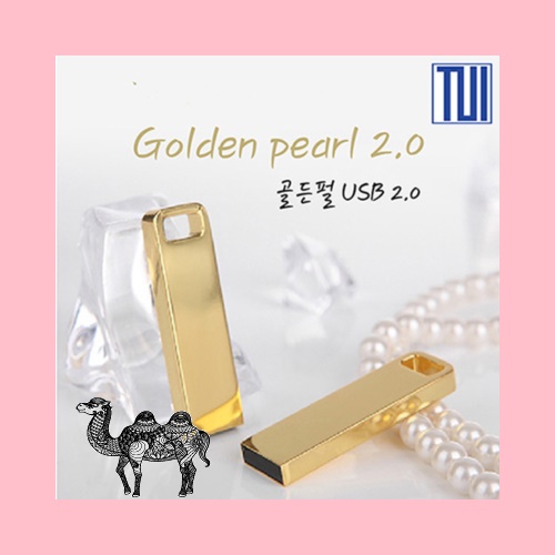 골든펄 USB 2.0 4G